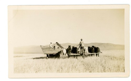 Farming agriculture men with