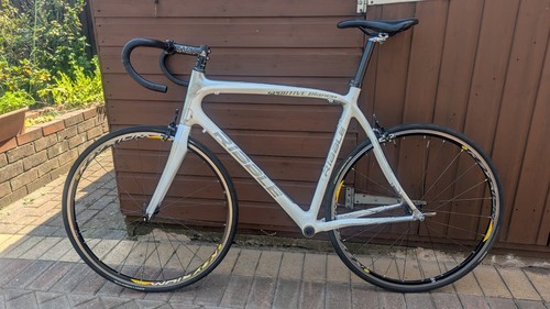 Ribble sportive bianco carbon - sportive,