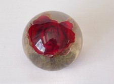 Hafod grange red rose - grange,