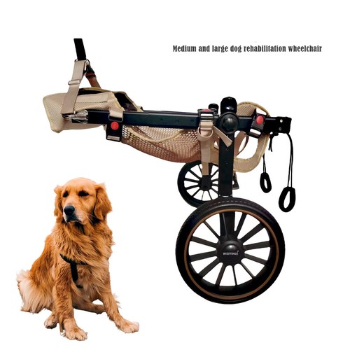 Heavy duty dog wheelchair - dog,