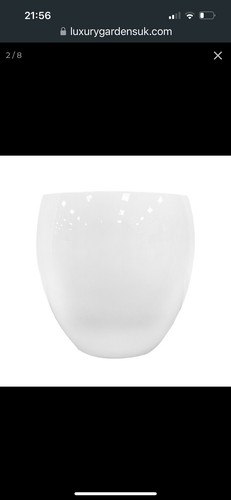 Garden plant pots - plant,