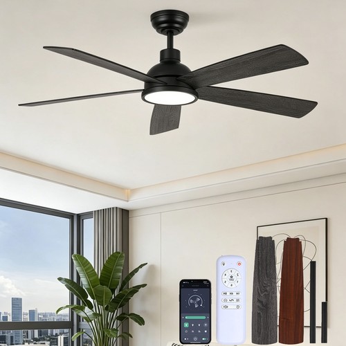 Smart led fan - smart, timer
