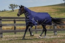 Horse Turnout Rug Equestrian