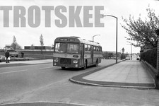 35mm Black and White Negative