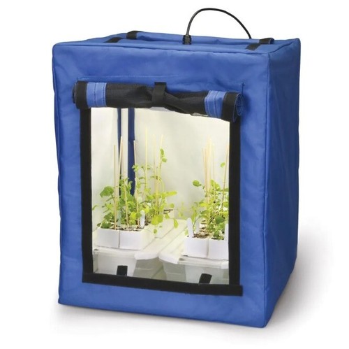 Carolina plant light house - light,