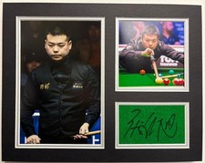 Professional Snooker Player
