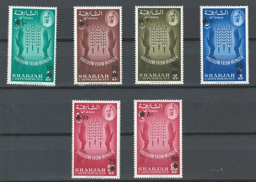 Sharjah uae fight against - uae,