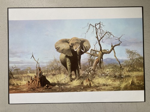 African elephant print - african,