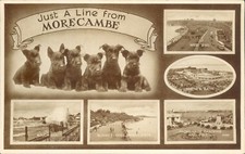 Postcard posted  Lancashire Morecambe 5 views