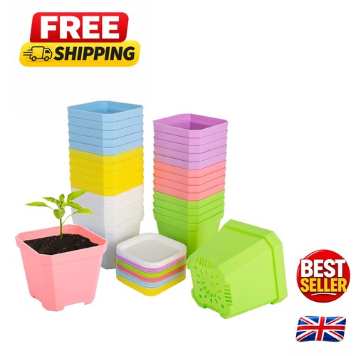 Pcs thick square plant pots - 24,
