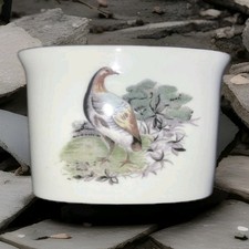 Vintage Royal Worcester Fine