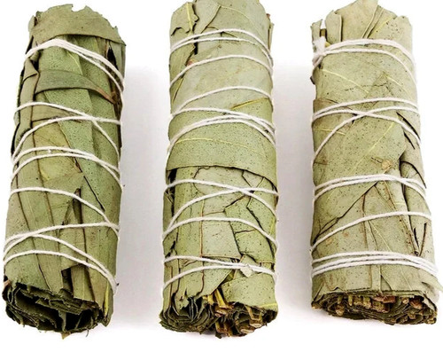 Eucalyptus smudge sticks - ,