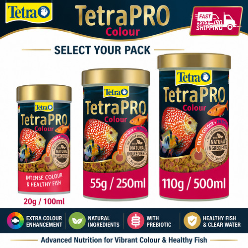Tetra pro colour fish - colour, food