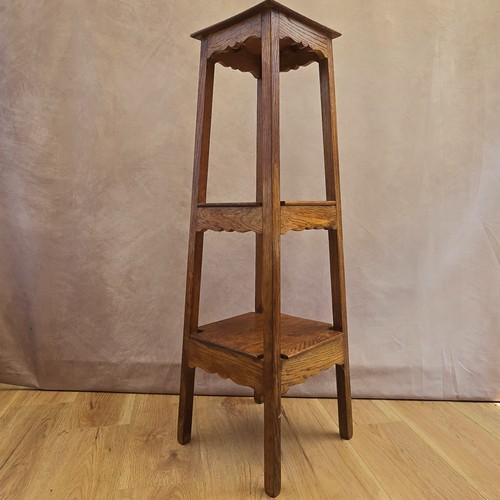 Solid oak three - oak, plant