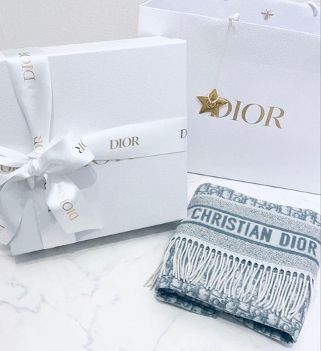 Christian dior light gray - dior,