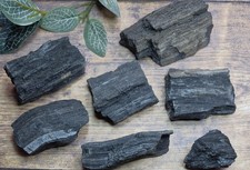 Druzy Permineralized Fossil