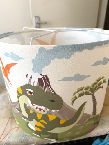 Children dinosaur theme - children's,