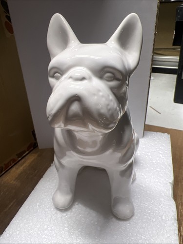 White sitting french bulldog - french,