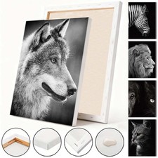 30x40cm Animal Series Artwork