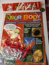 Issue 68,  HOW YOUR BODY