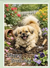 Tibetan Spaniel Dog (4"x 6")