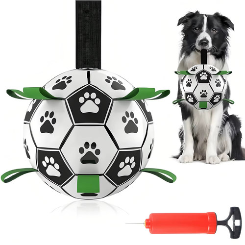 New pet dog - dog, football
