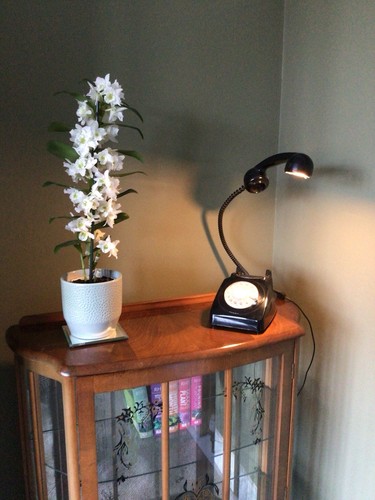 Telephone side light - telephone,