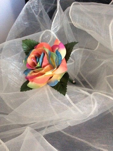 Rainbow multi coloured - rainbow, rose