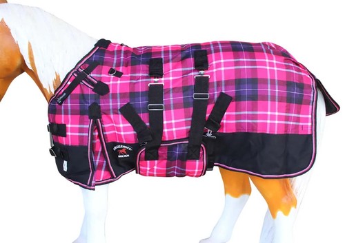 Challenger 1200d foal winter - foal,