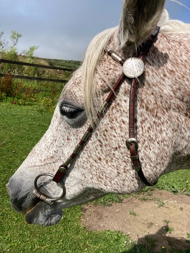 Western leather headstall - western,
