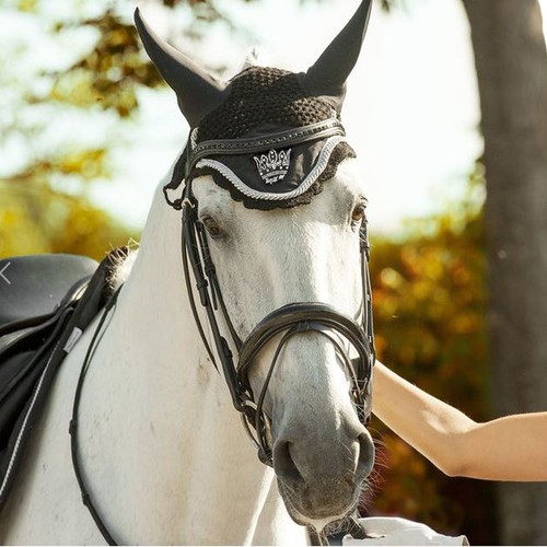 Equi theme equestrian new - theme,