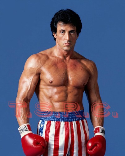 Sylvester stallone rocky - sylvester, as
