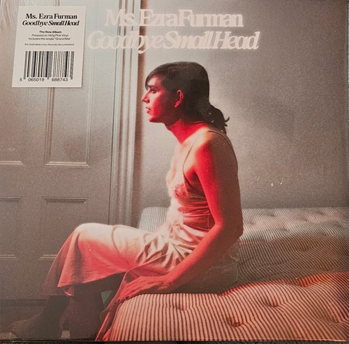 Ezra furman goodbye - ~,
