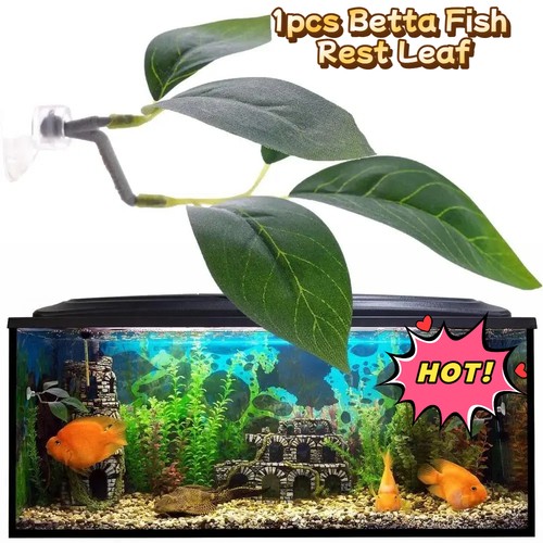 1pc betta fish leaf hammock - betta,