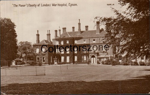 1917 epsom the manor - epsom,