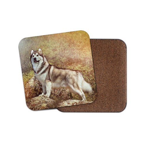 Alaskan malamute coaster - alaskan,