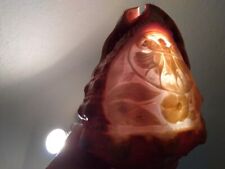 VINTAGE HAND CAMEO CARVED BULL MOUTH CONCH SHELL. HAS BEEN PART OF A LAMP.