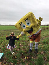 Sponge bob and Patrick adult sized mascot fancy dress costume hire in UK