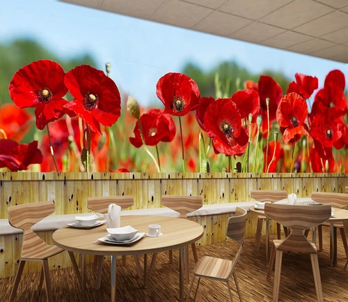 Red poppy n4908 wallpaper - 3d,