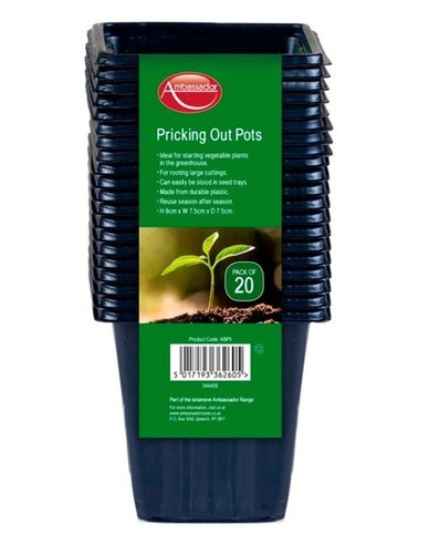Square pricking out - 80,