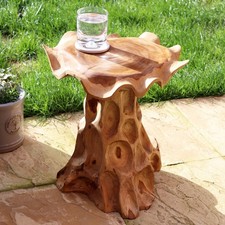 Lombok Mushroom Teak Root