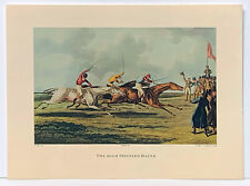 The High Mettled Racer Horse