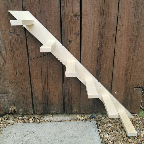 Cat steps ladder wall - cat,