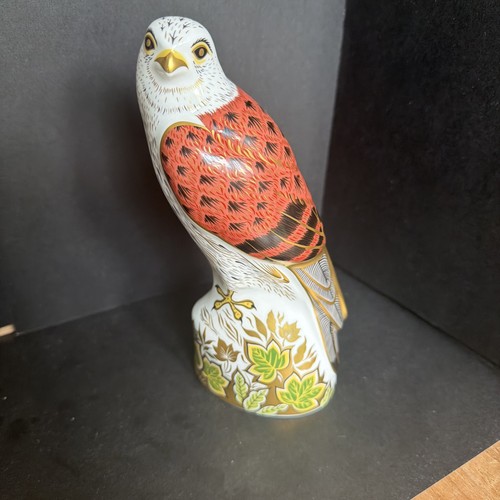 Royal crown derby kestrel - derby, 'kestrel'
