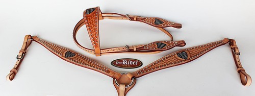 Show tack bridle western - tack,