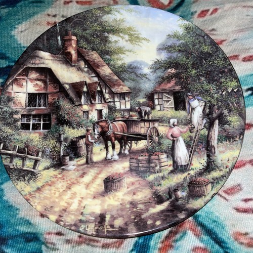 Wedgwood plate the apple - wedgwood,