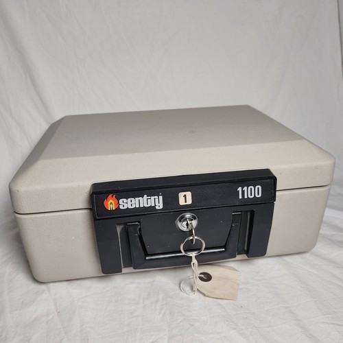 Sentry safe 1100 fire - sentry,