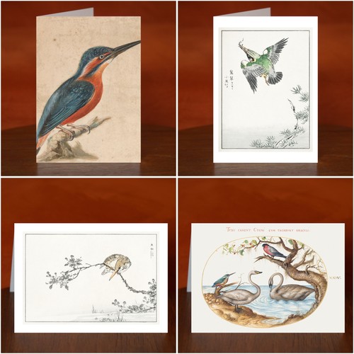 Kingfisher art print - print, greeting
