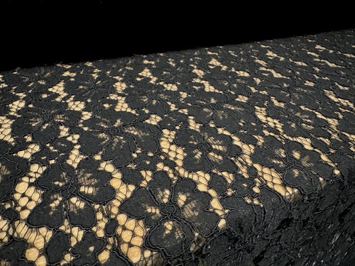 Heavy corded alencon lace - corded,