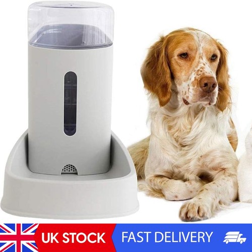 Pet water dispenser cat - pet,